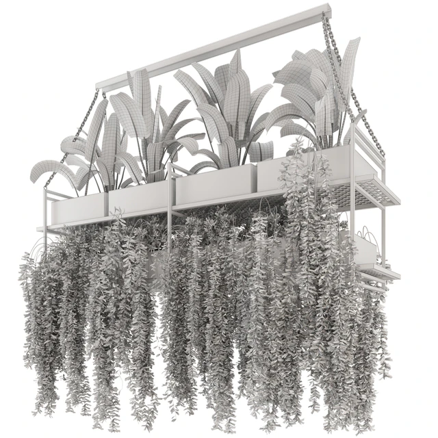Indoor Hanging Plants in Metal Box - Set 269 — Descargar