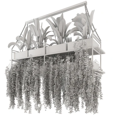 Indoor Hanging Plants in Metal Box - Set 269 — Ver 6