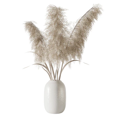 Pampas grass bouquet — Ver 3
