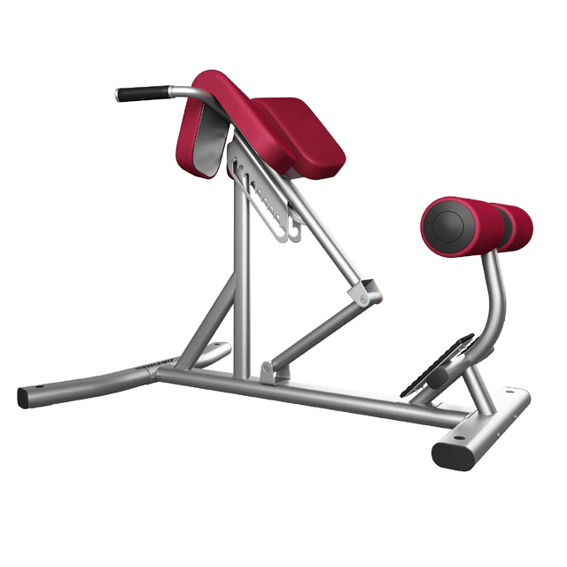 Lifefitness Signature Series Back Extension — Download