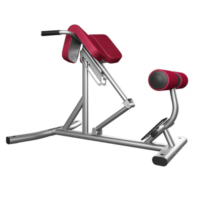 Lifefitness Signature Series Back Extension — View 5