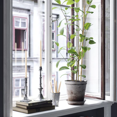 Scandinavian windows — Ver 3