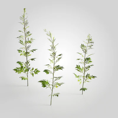 low poly plants 002 — Descargar
