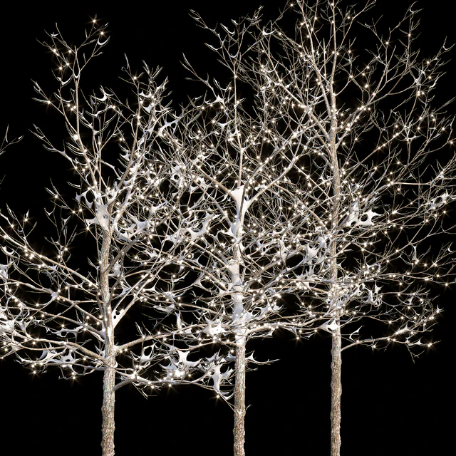 Trees in the snow with a luminous garland — Descargar