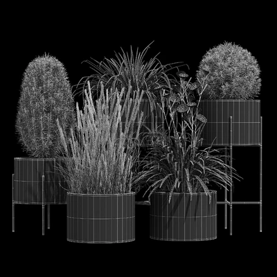 Cylinder linea — Ver 3