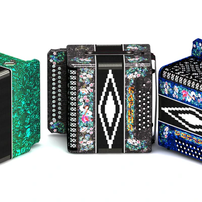 accordion Shuiskaya "Lady" — Ver 5
