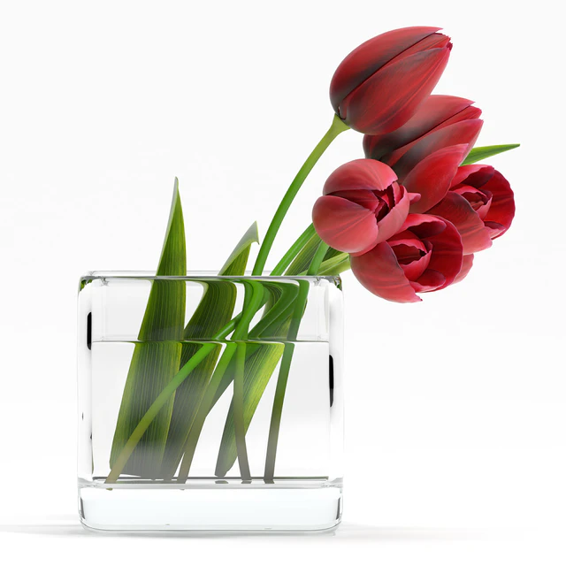 TULIP4 — Скачать