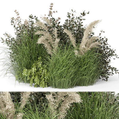 Outdoor Plants Bush-Bush Set 724 — descargar