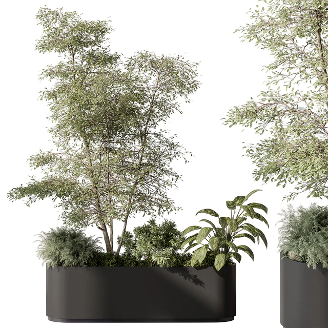 Plant Box - Outdoor Plants 515 — Скачать