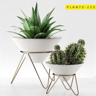 plants 225 — Download