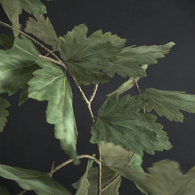 Scandinavian Plant — Descargar