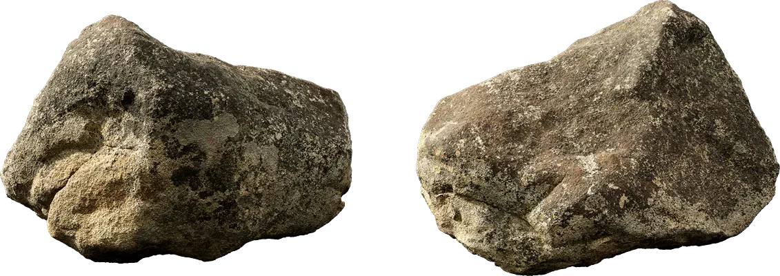 lichened forest boulder 002 — Descargar