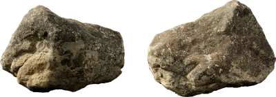lichened forest boulder 002 — Descargar