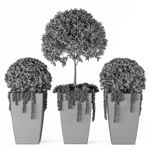 Outdoor Plants Round Topiary Tree - Set 75 — Descargar