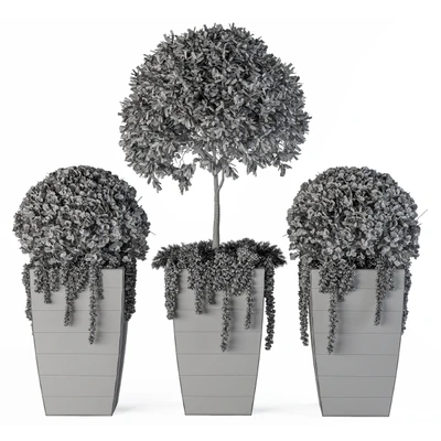 Outdoor Plants Round Topiary Tree - Set 75 — Ver 5