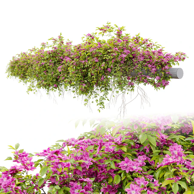 Hanging Plant 23 — Скачать