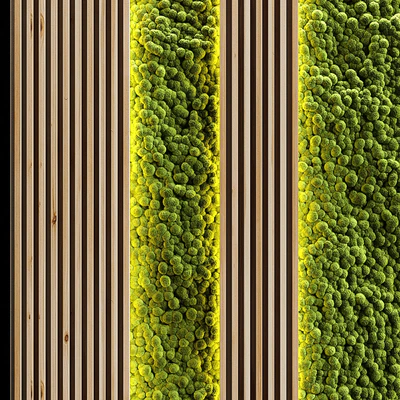 Vertical garden and planks 2 — Вид 3