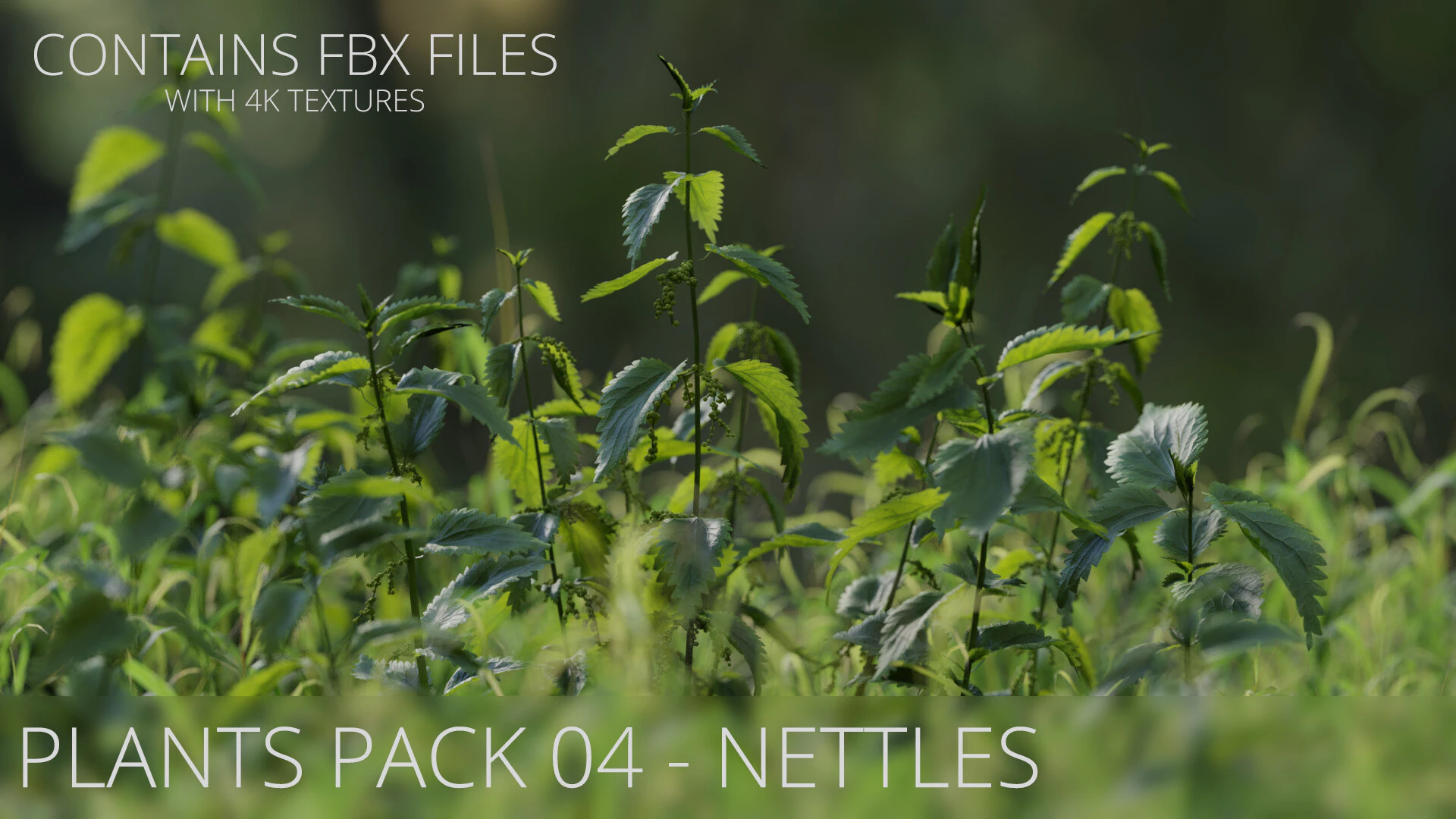 plants pack 004 nettles — Скачать