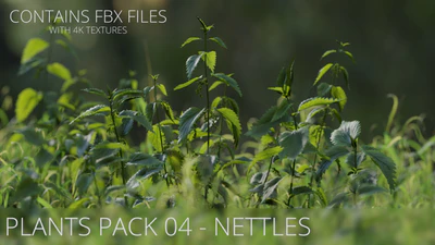 plants pack 004 nettles — download
