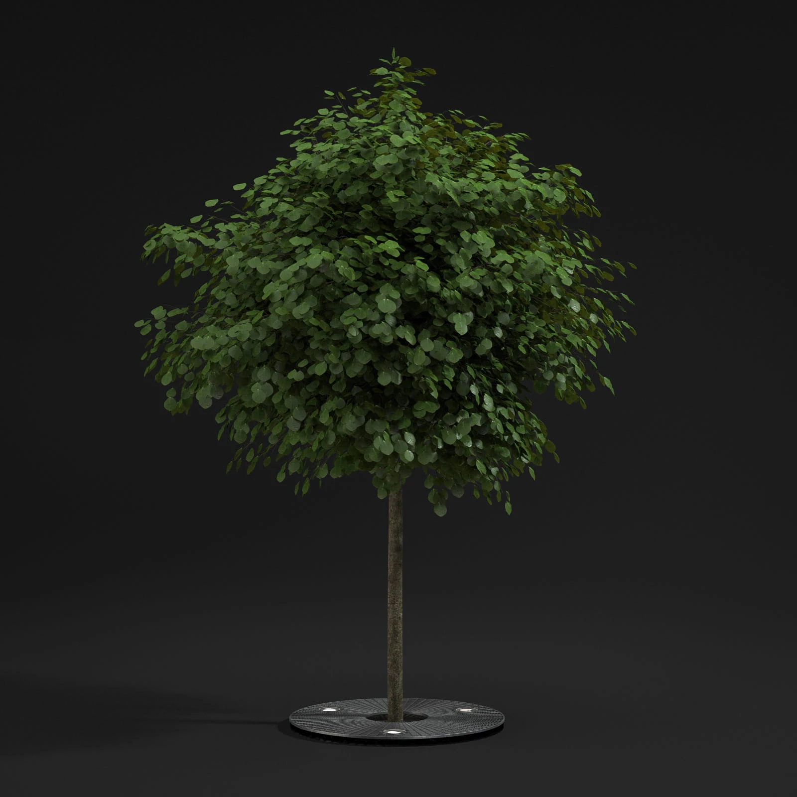 street props 024 — Descargar