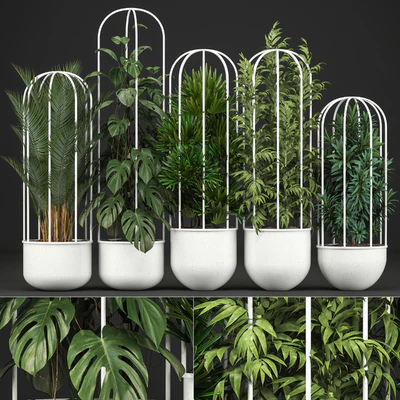 Plant collection 328. White pot, flowerpot, monstera, bamboo, dracaena, palm tree, indoor plants, Scandinavian style, metal flowerpot, bushes, thickets — Ver 1