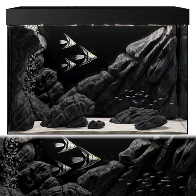 Aquarium — Ver 1