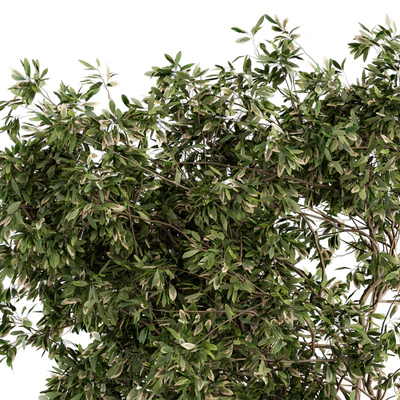 Garden set Tree and Bush - Garden Set 17 — Вид 4