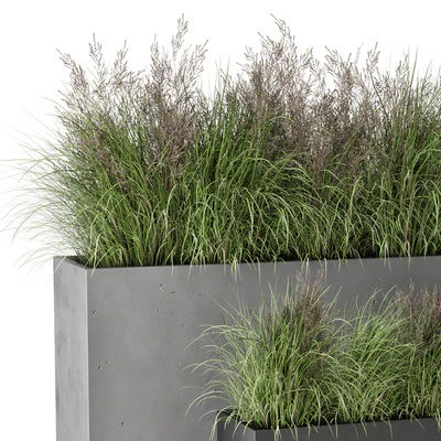 Outdoor Plants Bush in rusty Concrete Pot - Set 565 — Ver 7