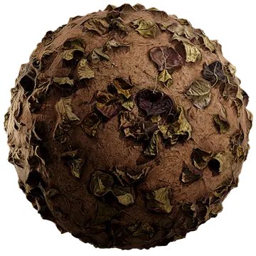 dried leaves 033 — Descargar