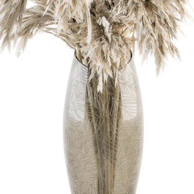 Dry plants 47 - Dried Plant Pampas Bouquet — Вид 5