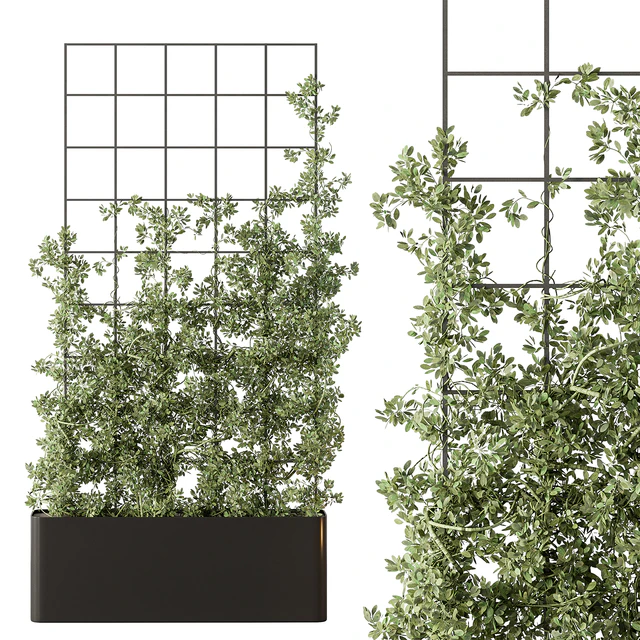 Vertical Garden Partiton - Set 101 — Скачать