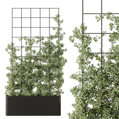 Vertical Garden Partiton - Set 101 — Вид 4