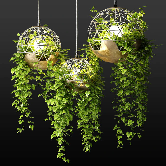 Lamps with hanging plants | The Lighters with a hanging plants — Download