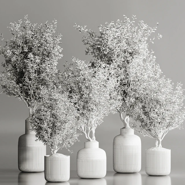 Indoor Plant Set 107 — Descargar