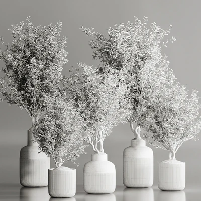 Indoor Plant Set 107 — Ver 6