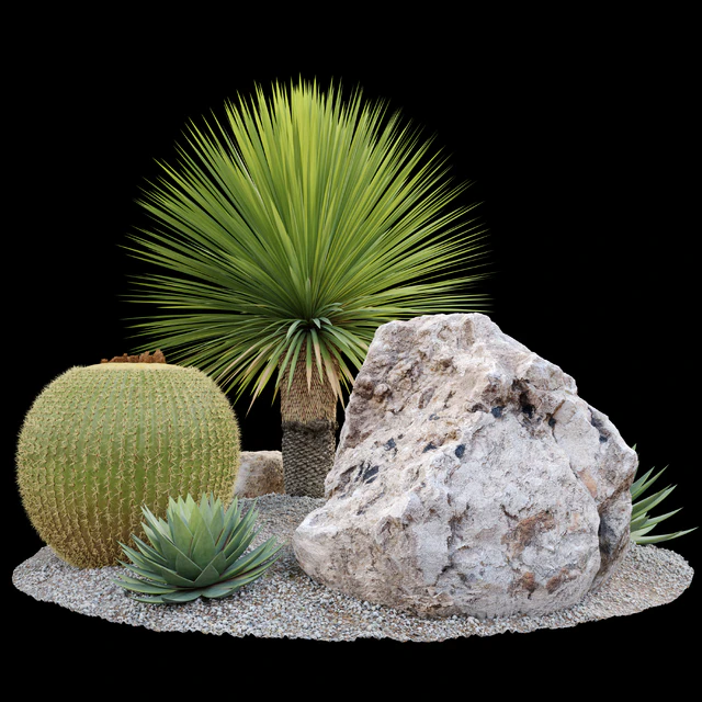 Australian garden — Скачать