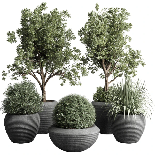 Collection indoor outdoor plant 120 plant tree grass vase dirty concrete — Descargar