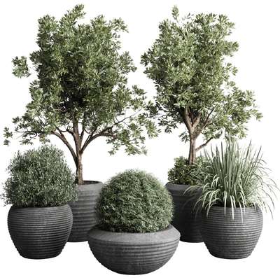 Collection indoor outdoor plant 120 plant tree grass vase dirty concrete — Ver 1