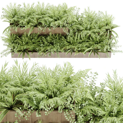 indoor plant Set 21 — Вид 6