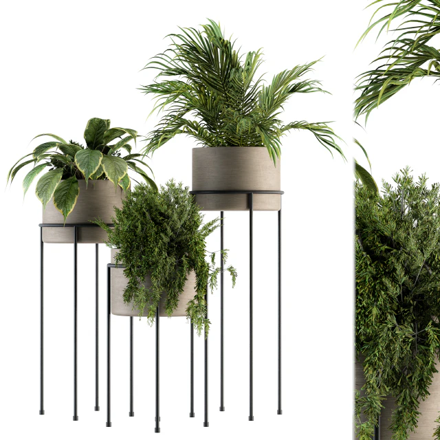 indoor Plant Set 129 - Plant Stand — Скачать