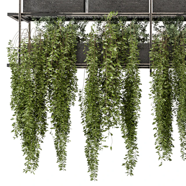 Indoor Hanging Plants in Metal Box - Set 269 — Descargar