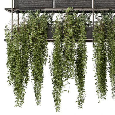 Indoor Hanging Plants in Metal Box - Set 269 — Ver 7
