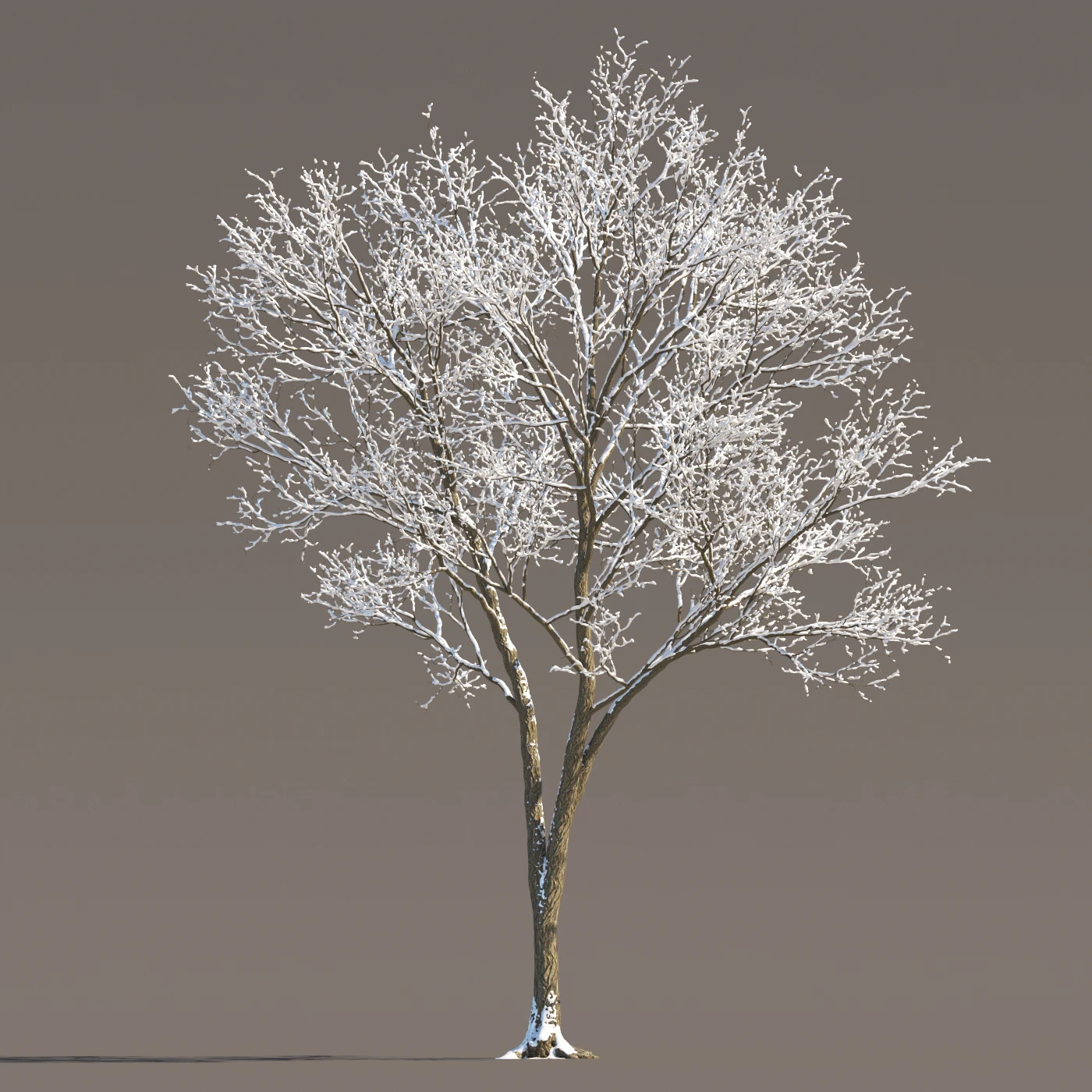 072 winter — Descargar