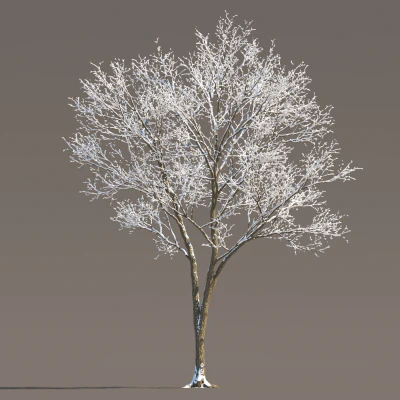 072 winter — Descargar