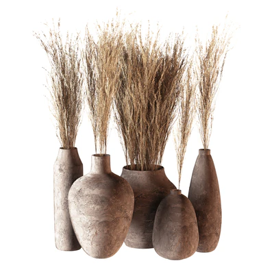 Indoor plants 01 - Pampas set in Pottery Pots — Ver 5