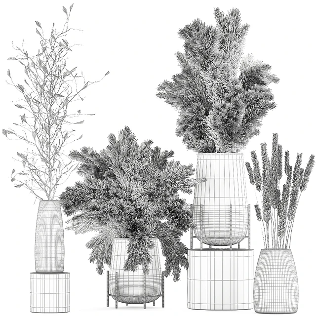 A collection of bouquets of dried flowers in glass vases with Pampas, branches, Cortaderia, pampas grass, reeds. Set 103. — Descargar