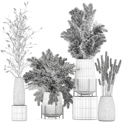 A collection of bouquets of dried flowers in glass vases with Pampas, branches, Cortaderia, pampas grass, reeds. Set 103. — Ver 4