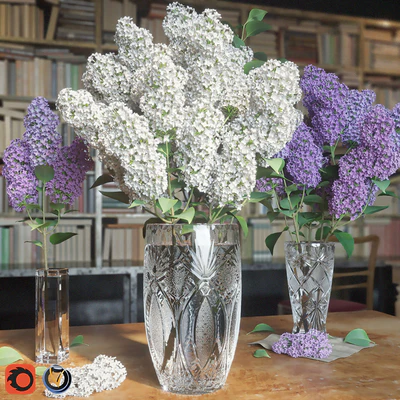 LILAC 3 in 1 / СИРЕНЬ — Вид 3