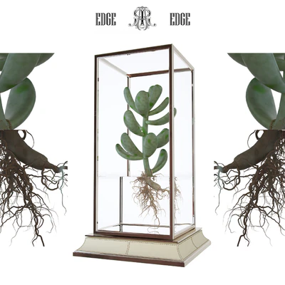 Cactus in a vase on a stand — Ver 1