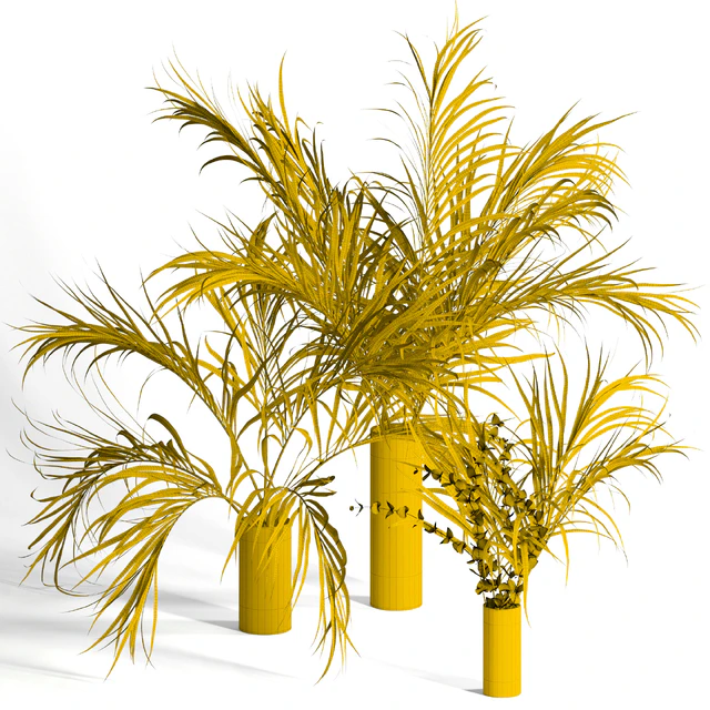 Dry palm leaves in vases — Скачать